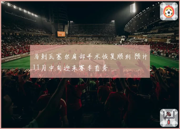 马刺瓦塞尔肩部手术恢复顺利 预计11月中旬迎来赛季首秀