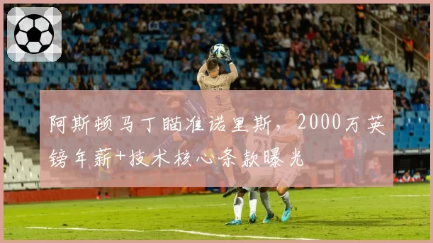 阿斯顿马丁瞄准诺里斯，2000万英镑年薪+技术核心条款曝光