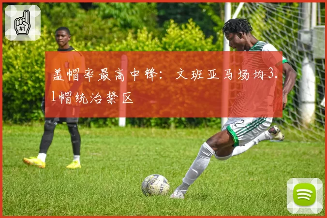 盖帽率最高中锋:文班亚马场均3.1帽统治禁区