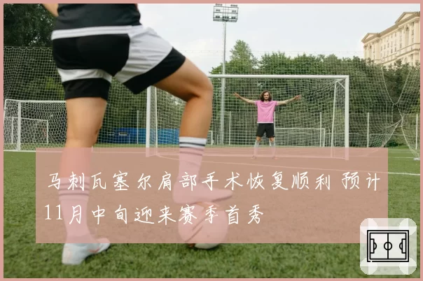 马刺瓦塞尔肩部手术恢复顺利 预计11月中旬迎来赛季首秀