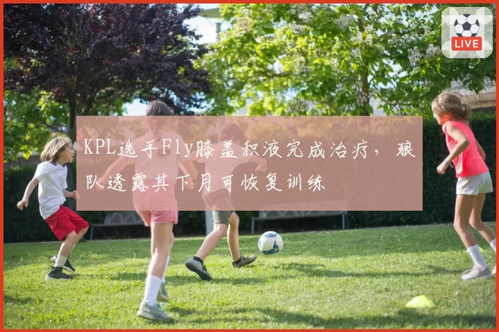 KPL选手Fly膝盖积液完成治疗,狼队透露其下月可恢复训练