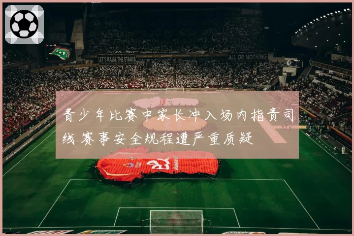 青少年比赛中家长冲入场内指责司线 赛事安全规程遭严重质疑